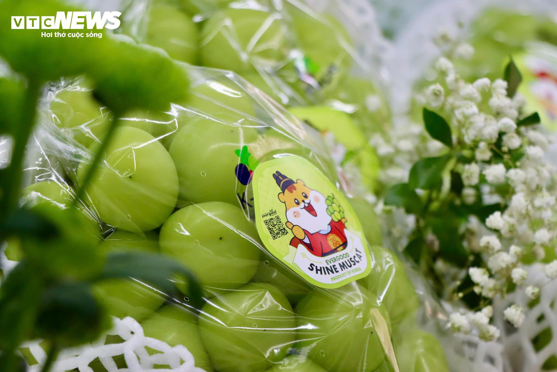 Cận cảnh loạt trái cây 'hot' bị nhái nguồn gốc, lừa người tiêu dùng- Ảnh 6.