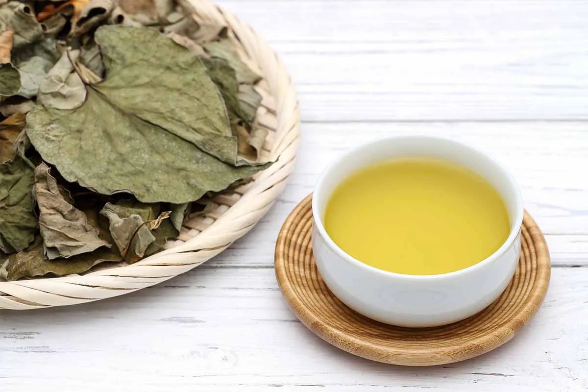 Loại rau người Trung Quốc ví là "rau thần": Mọc đầy Việt Nam nhưng nhiều người sợ không ăn- Ảnh 2. Loại rau người Trung Quốc ví là "rau thần": Mọc đầy Việt Nam nhưng nhiều người sợ không ăn- Ảnh 2.