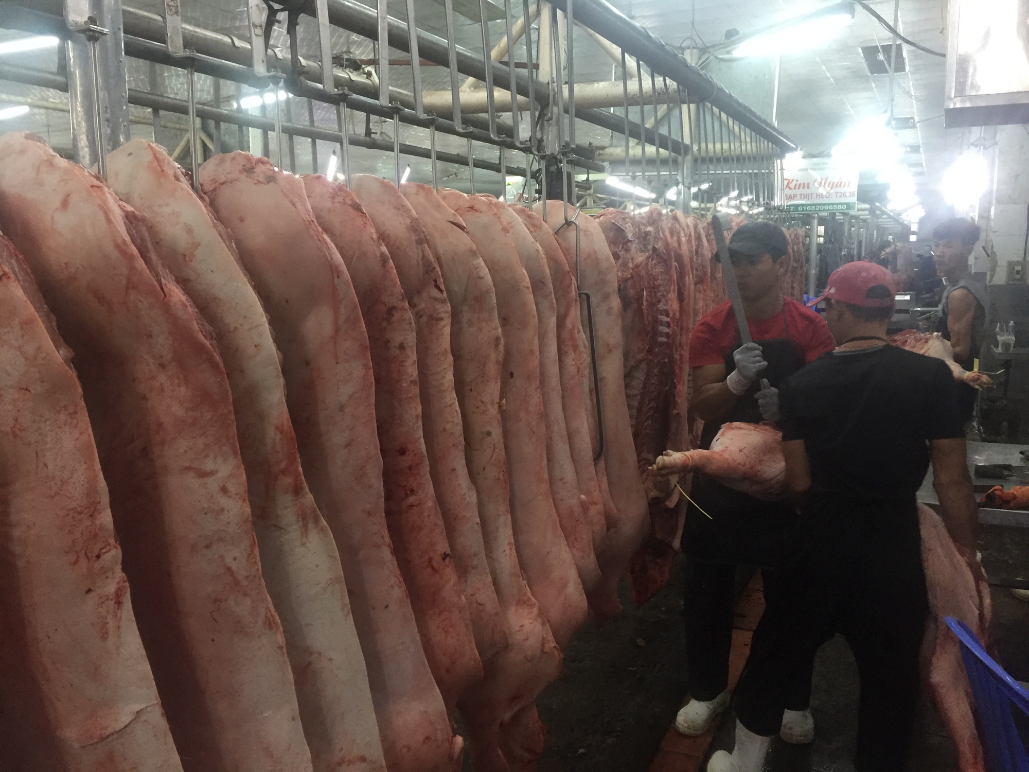 Giá heo hơi hôm nay, 24-11: Heo về chợ tiếp tục giảm, điều gì đang xảy ra?- Ảnh 1.