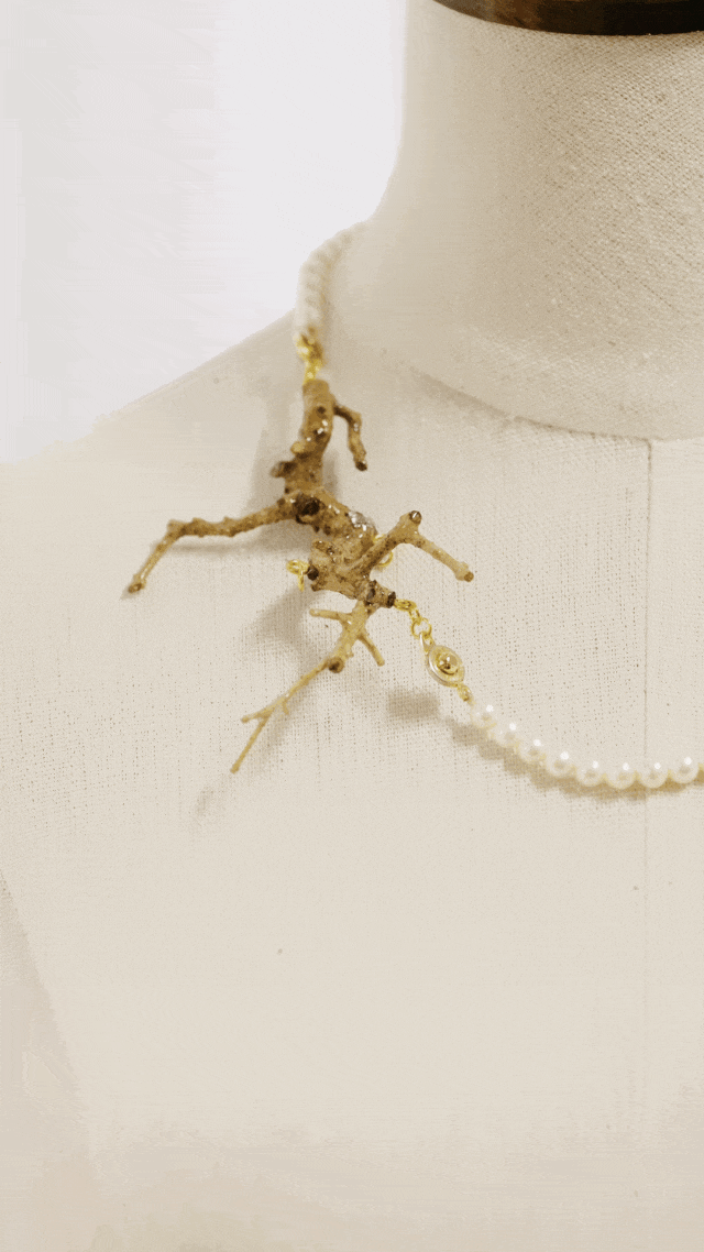 Người phụ nữ U50 bỏ việc lương cao về "chơi cây" với bố ung thư: Biến nghề bonsai ít ai biết thành sứ mệnh đời mình- Ảnh 17.