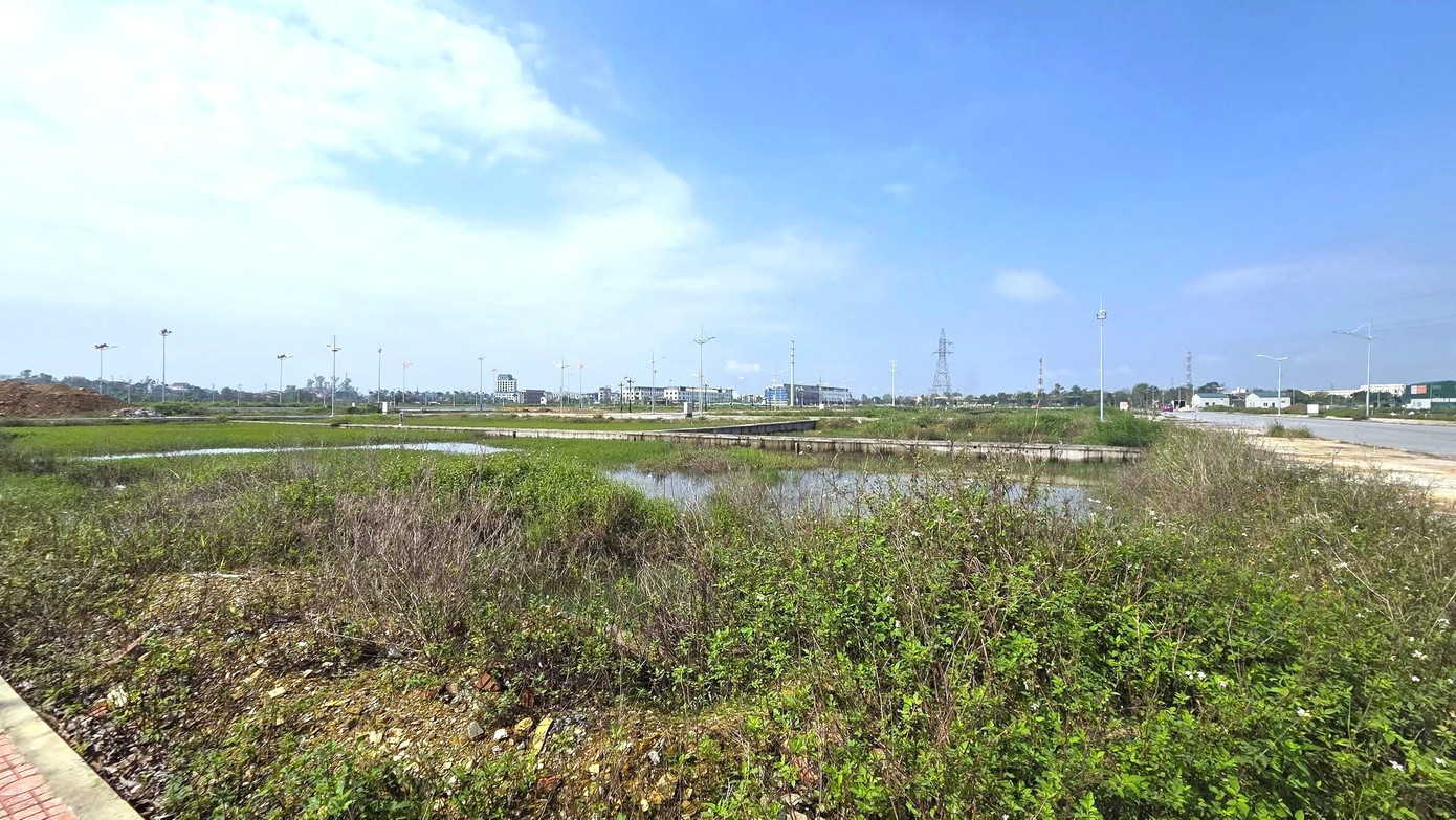 Choáng với giá hơn 12 tỷ đồng một lô đất cấp xã ở Nghệ An- Ảnh 1.