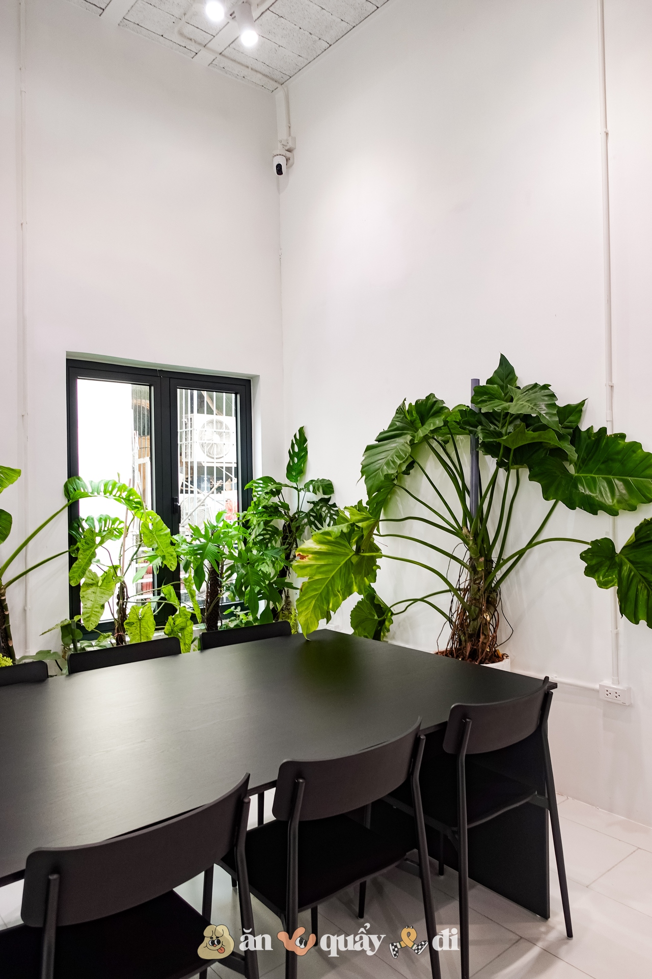 Nơi bán cốc cà phê 750.000 đồng tại Hà Nội: Có gì đặc biệt mà giá gấp 20 lần bình thường?- Ảnh 8.