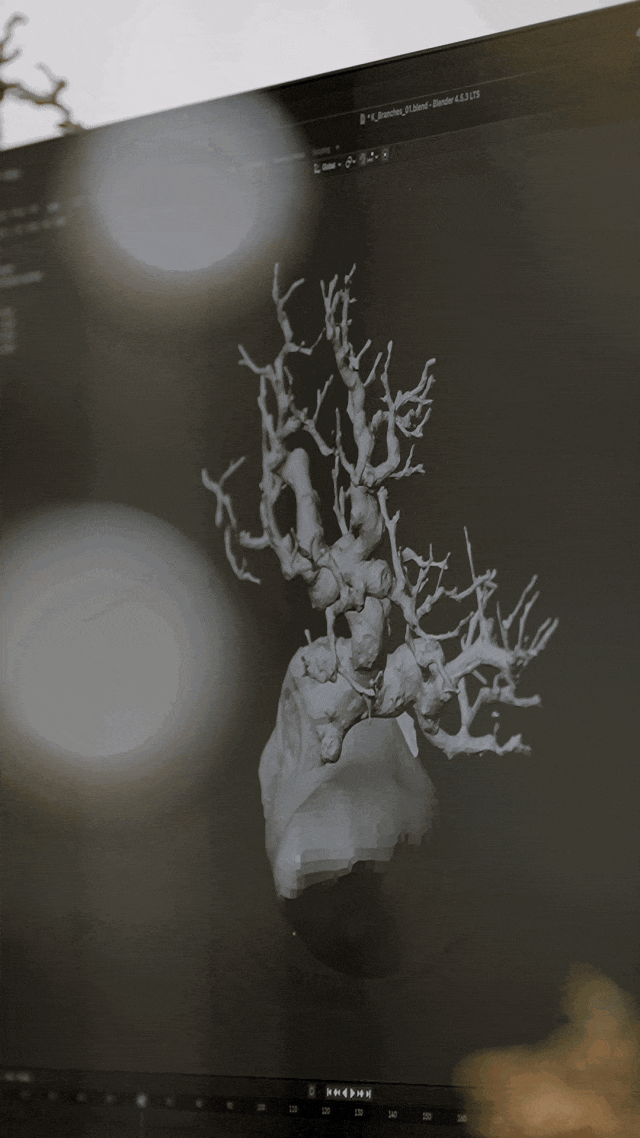 Người phụ nữ U50 bỏ việc lương cao về "chơi cây" với bố ung thư: Biến nghề bonsai ít ai biết thành sứ mệnh đời mình- Ảnh 16.