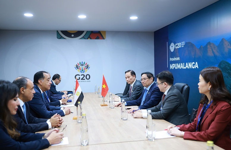 Thủ tướng đề xuất Việt Nam xuất khẩu ngành nông nghiệp sang Ai Cập- Ảnh 2.