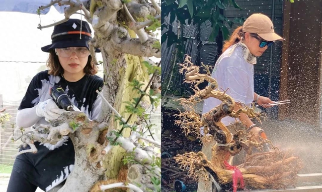 Người phụ nữ U50 bỏ việc lương cao về "chơi cây" với bố ung thư: Biến nghề bonsai ít ai biết thành sứ mệnh đời mình- Ảnh 1.