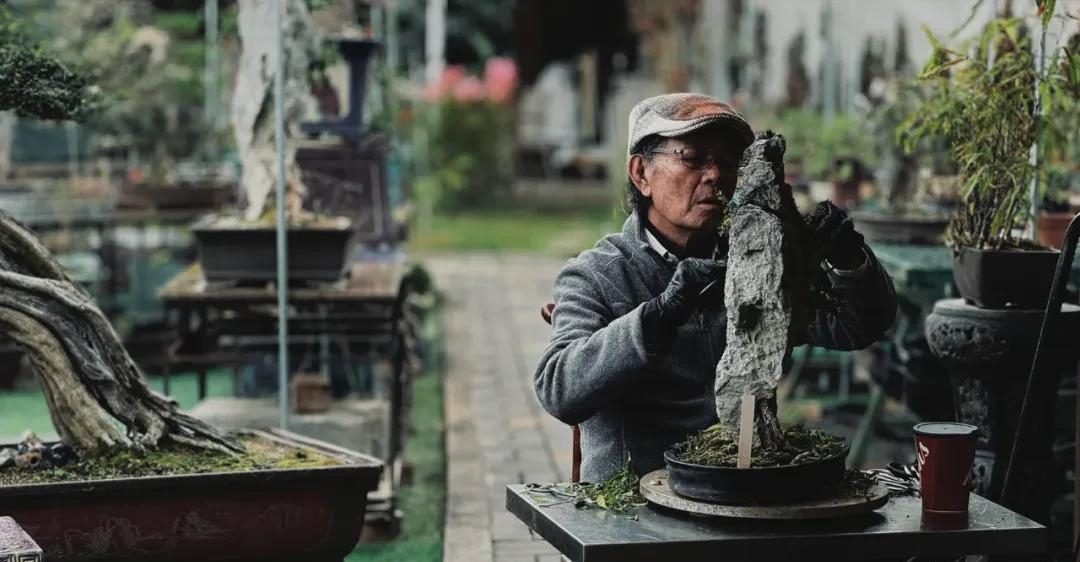 Người phụ nữ U50 bỏ việc lương cao về "chơi cây" với bố ung thư: Biến nghề bonsai ít ai biết thành sứ mệnh đời mình- Ảnh 18.