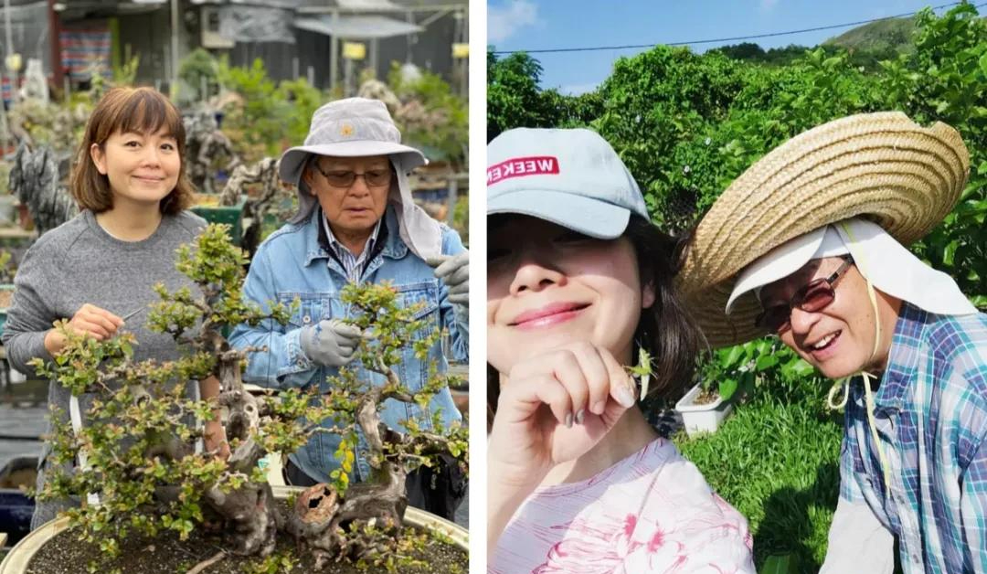 Người phụ nữ U50 bỏ việc lương cao về "chơi cây" với bố ung thư: Biến nghề bonsai ít ai biết thành sứ mệnh đời mình- Ảnh 19.