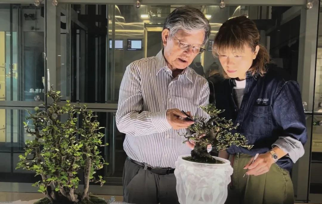 Người phụ nữ U50 bỏ việc lương cao về "chơi cây" với bố ung thư: Biến nghề bonsai ít ai biết thành sứ mệnh đời mình- Ảnh 13.