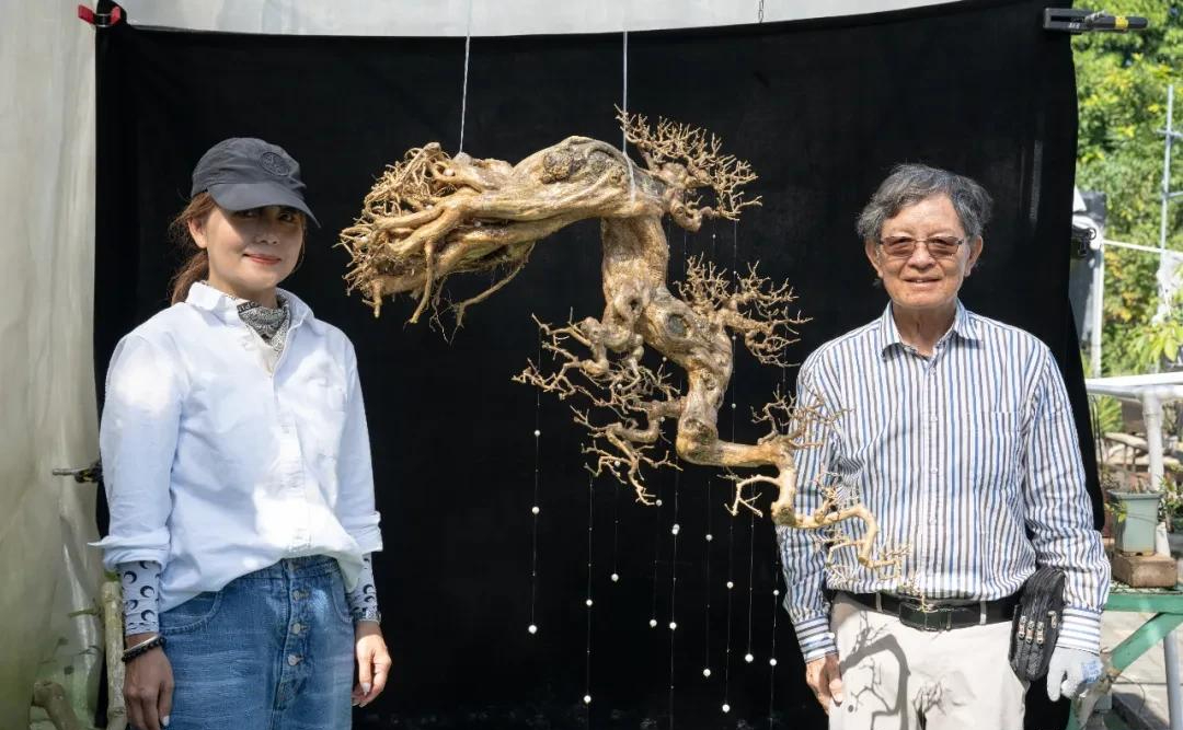 Người phụ nữ U50 bỏ việc lương cao về "chơi cây" với bố ung thư: Biến nghề bonsai ít ai biết thành sứ mệnh đời mình- Ảnh 2.