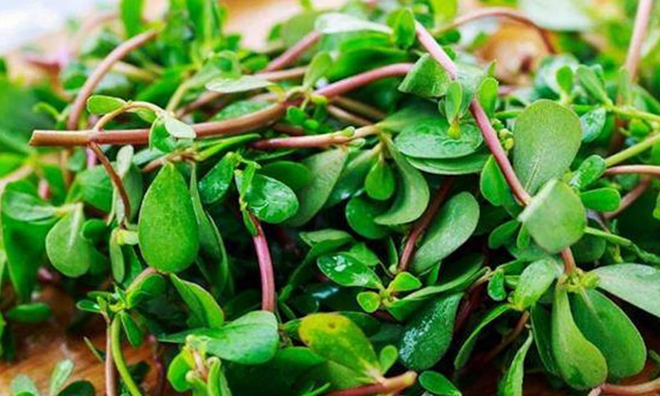 3 loại rau ăn sống nhiều "phá gan", ngon bổ mấy cũng đừng tham ăn- Ảnh 2.