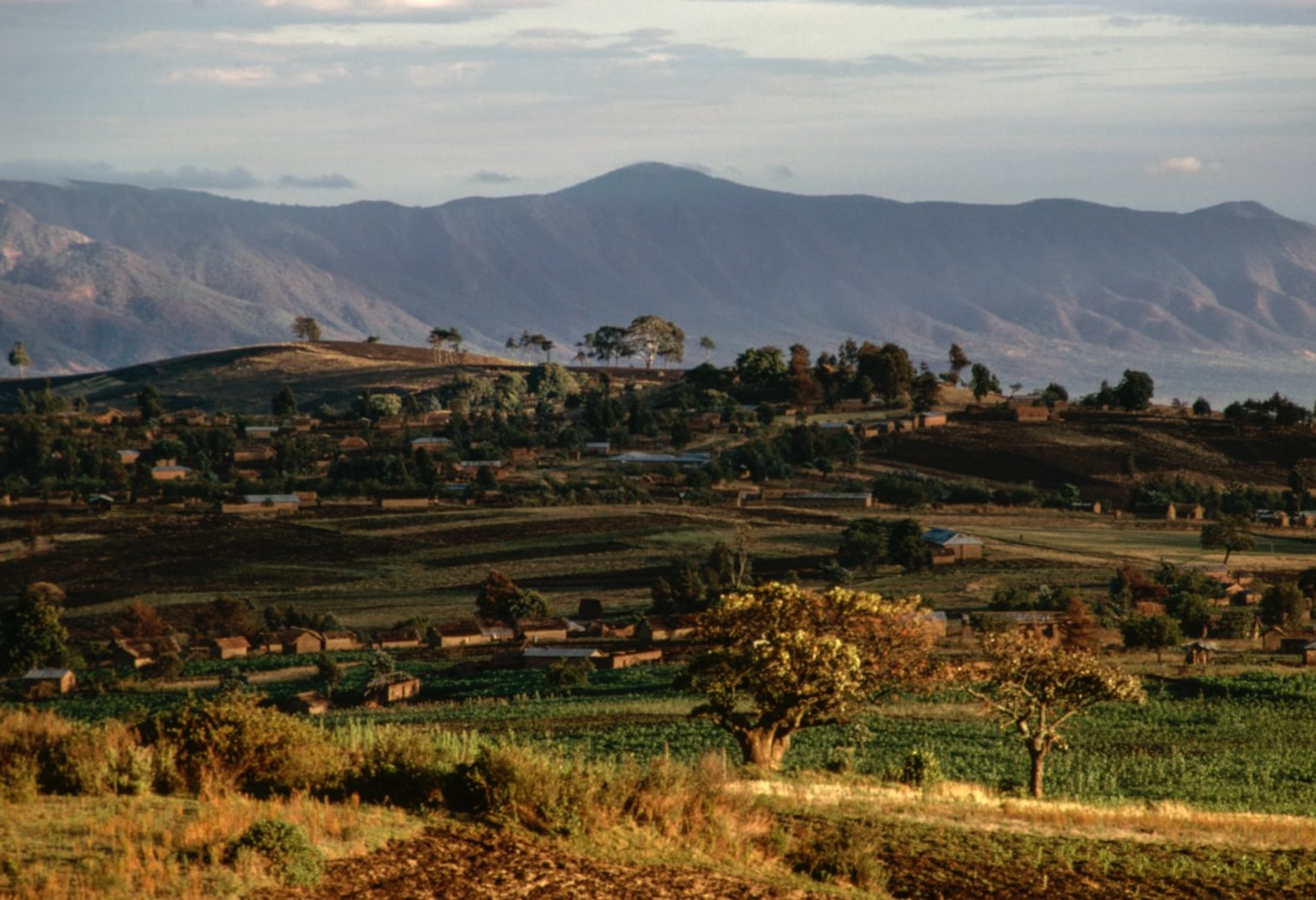 Phát hiện mỏ đất hiếm trữ lượng hơn 214 triệu tấn có giá trị lên đến hơn 900 tỷ USD: Úc tìm thấy nhưng lập tức 'rơi vào tay' Trung Quốc- Ảnh 1.