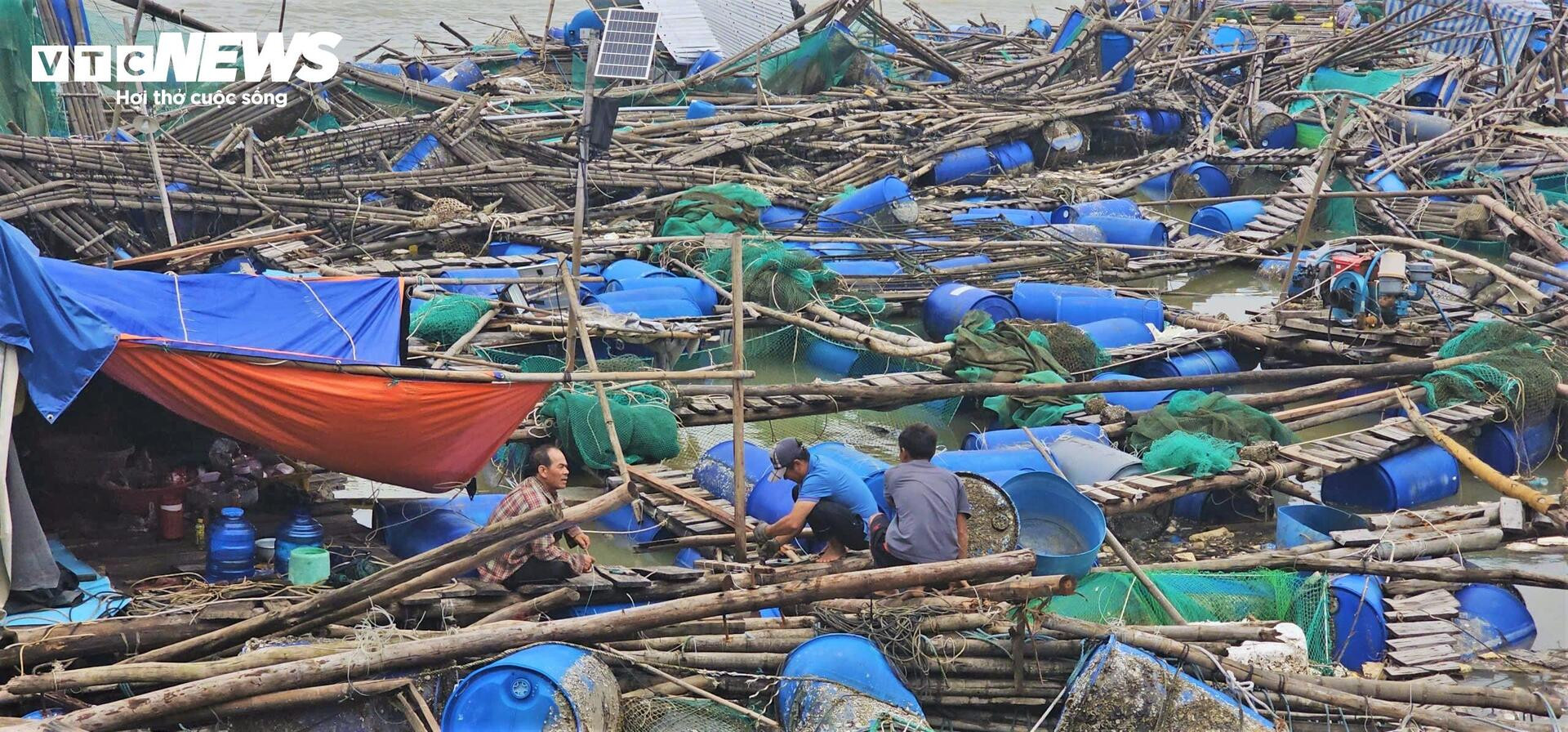 Bán tôm hùm 150.000 đồng/kg sau lũ dữ, người dân Đắk Lắk trắng tay- Ảnh 2.