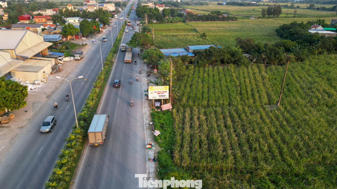 Loại củ mỗi năm chỉ có một lần, ăn giòn ngọt, nguyên vị sương sớm gây thương nhớ- Ảnh 1.