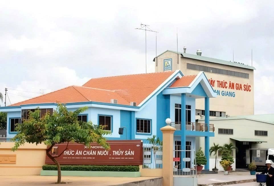 Động thái mới của ông lớn xuất khẩu gạo An Giang- Ảnh 1.