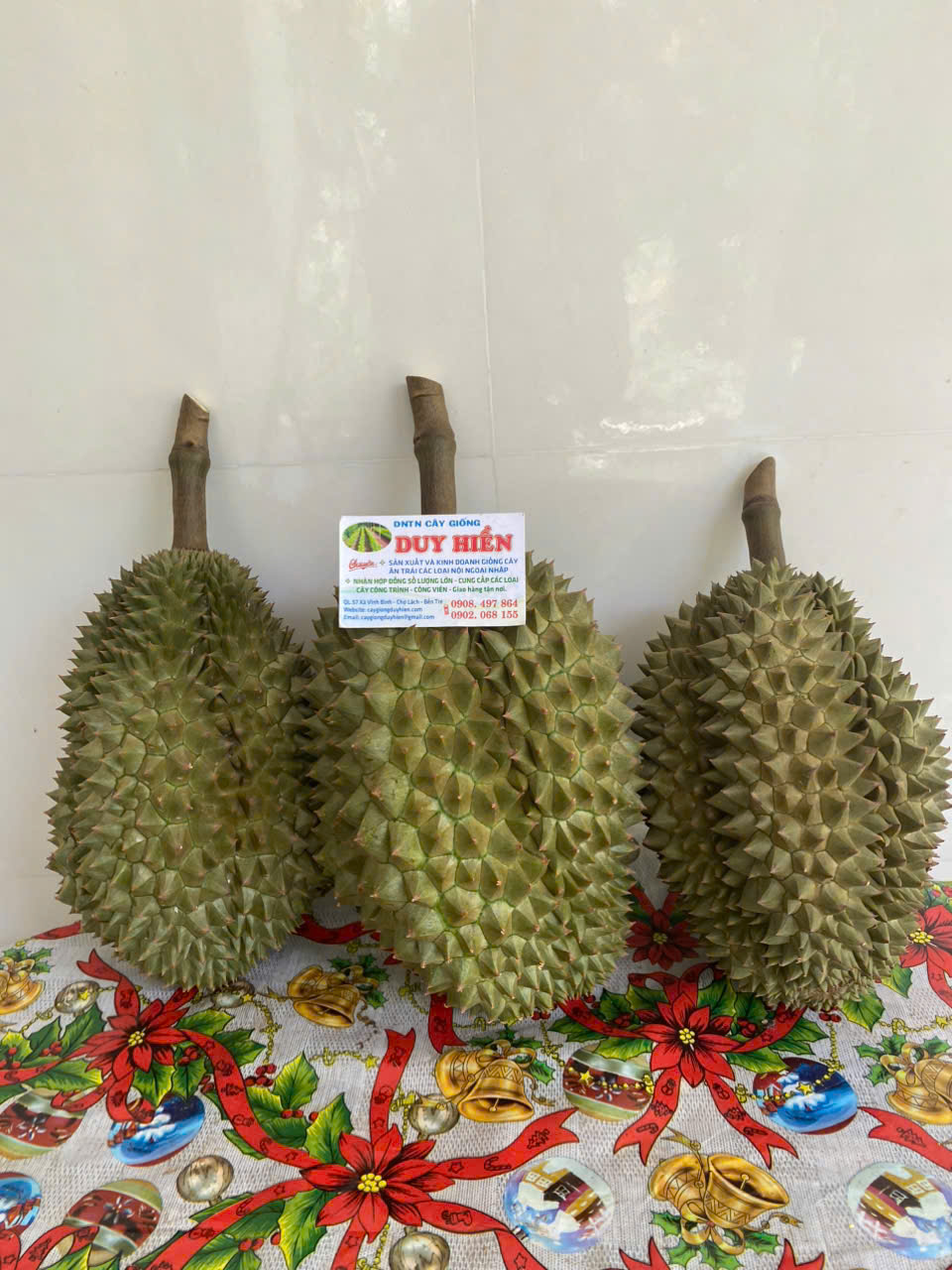 Loại sầu riêng bán 700.000 đồng/kg nhưng vẫn "cháy hàng"- Ảnh 2. Loại sầu riêng bán 700.000 đồng/kg nhưng vẫn "cháy hàng"- Ảnh 2.