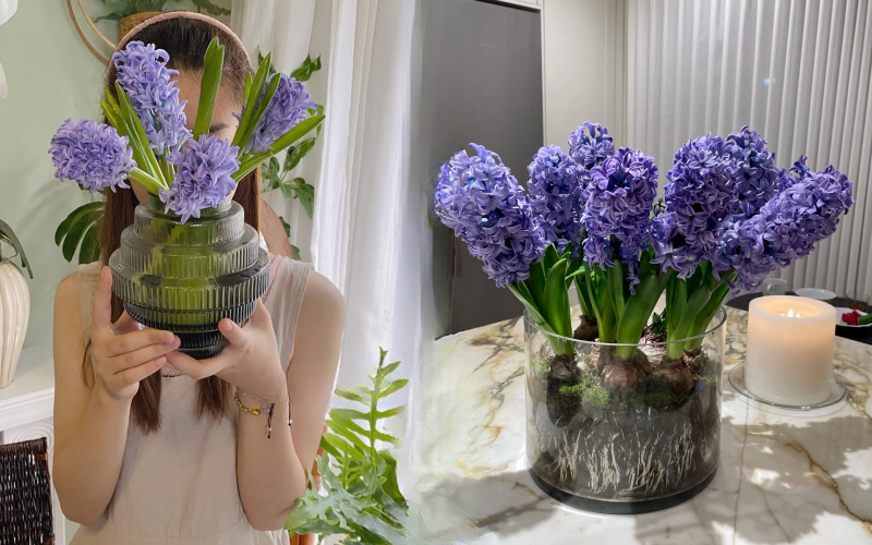 Nhiều chị em đang kháo nhau: Tết này nhất định phải trồng một chậu “hoa của các vị thần”, vừa thơm nhà vừa sang chảnh- Ảnh 1. Nhiều chị em đang kháo nhau: Tết này nhất định phải trồng một chậu “hoa của các vị thần”, vừa thơm nhà vừa sang chảnh- Ảnh 1.