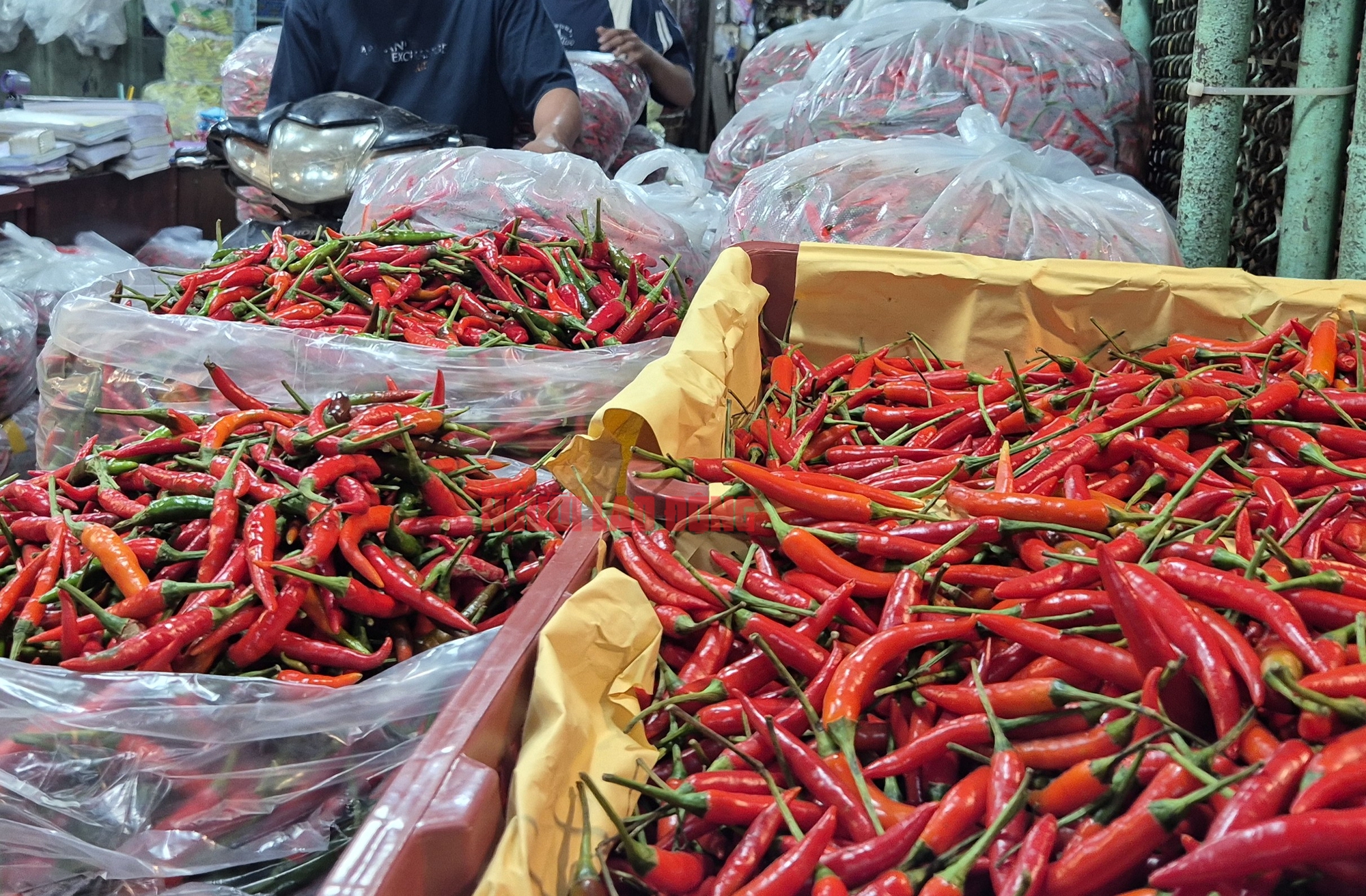 Ngày 25-11, tiểu thương chợ đầu mối Thủ Đức "thở phào"- Ảnh 1.