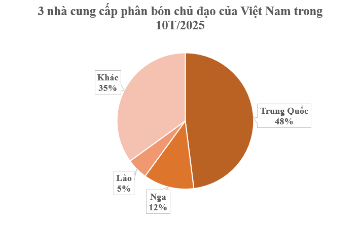 Hàng trăm nghìn tấn hàng từ Nga, Lào cùng đổ bộ Việt Nam: Nước ta sử dụng gấp 3 lần trung bình thế giới, chi gần 2 tỷ USD nhập khẩu- Ảnh 2.