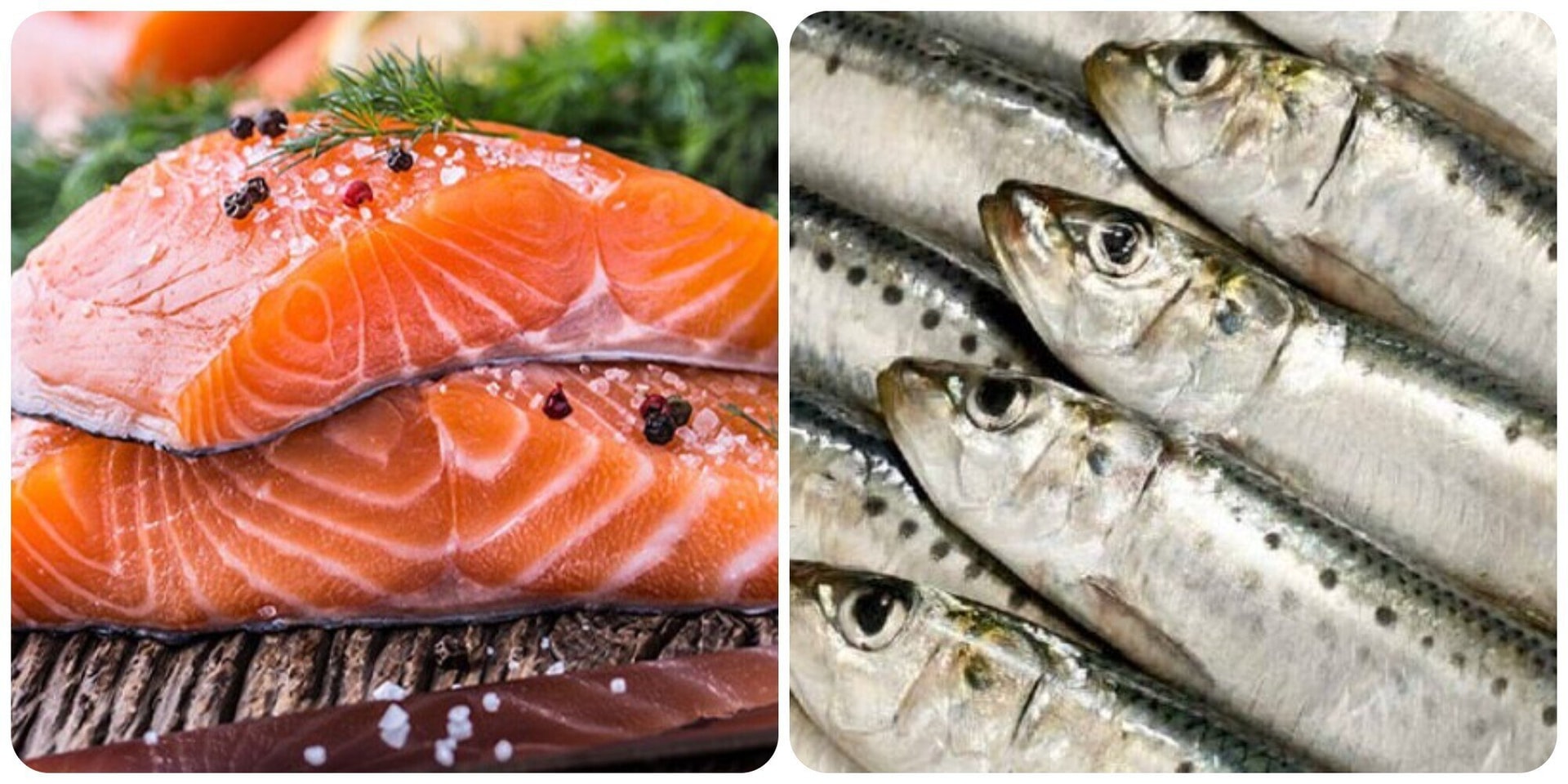 Loại quả chống huyết khối, ngừa đột quỵ đang vào mùa bạt ngàn chợ Việt, tiếc vì toàn bị đánh giá thấp- Ảnh 3.