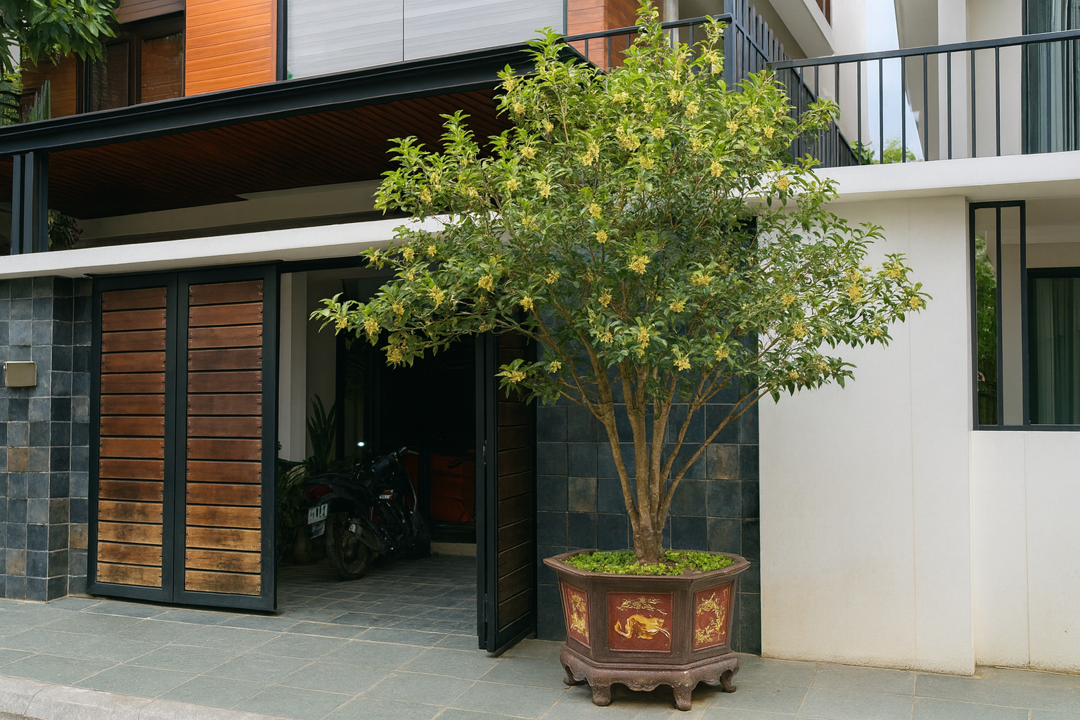 Sân nhà trồng 3 loại cây này: Càng trồng càng thấy nhà ấm, lộc về kín cổng- Ảnh 24. Sân nhà trồng 3 loại cây này: Càng trồng càng thấy nhà ấm, lộc về kín cổng- Ảnh 24.