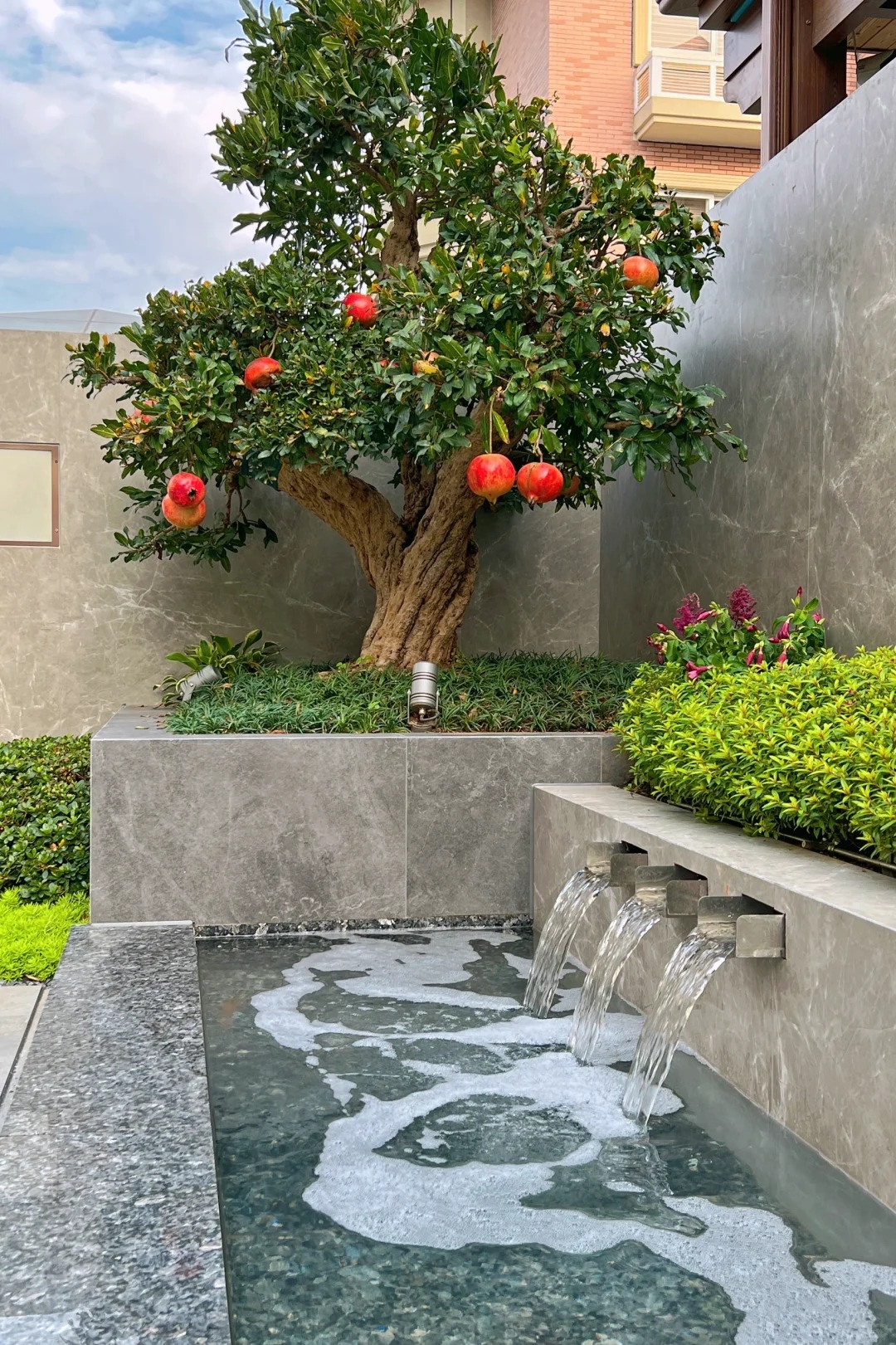 Sân nhà trồng 3 loại cây này: Càng trồng càng thấy nhà ấm, lộc về kín cổng- Ảnh 8. Sân nhà trồng 3 loại cây này: Càng trồng càng thấy nhà ấm, lộc về kín cổng- Ảnh 8.