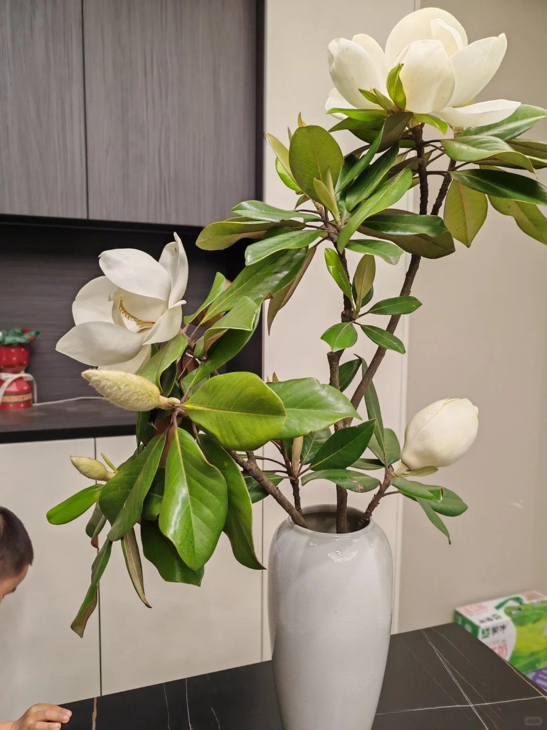 Sân nhà trồng 3 loại cây này: Càng trồng càng thấy nhà ấm, lộc về kín cổng- Ảnh 1. Sân nhà trồng 3 loại cây này: Càng trồng càng thấy nhà ấm, lộc về kín cổng- Ảnh 1.