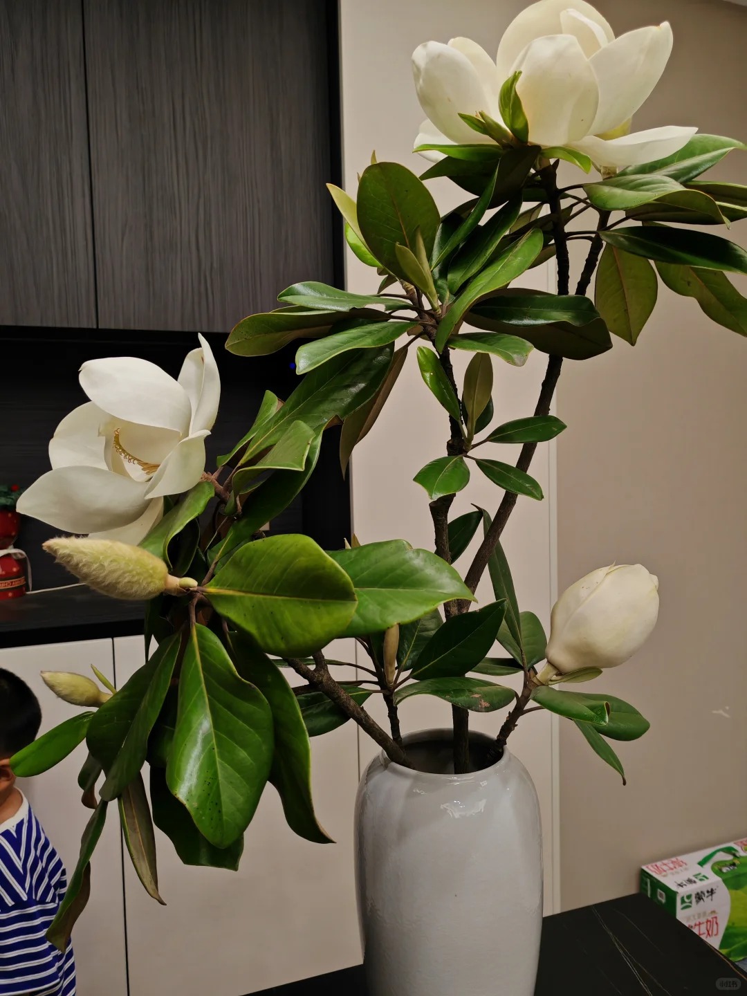 Sân nhà trồng 3 loại cây này: Càng trồng càng thấy nhà ấm, lộc về kín cổng- Ảnh 2. Sân nhà trồng 3 loại cây này: Càng trồng càng thấy nhà ấm, lộc về kín cổng- Ảnh 2.