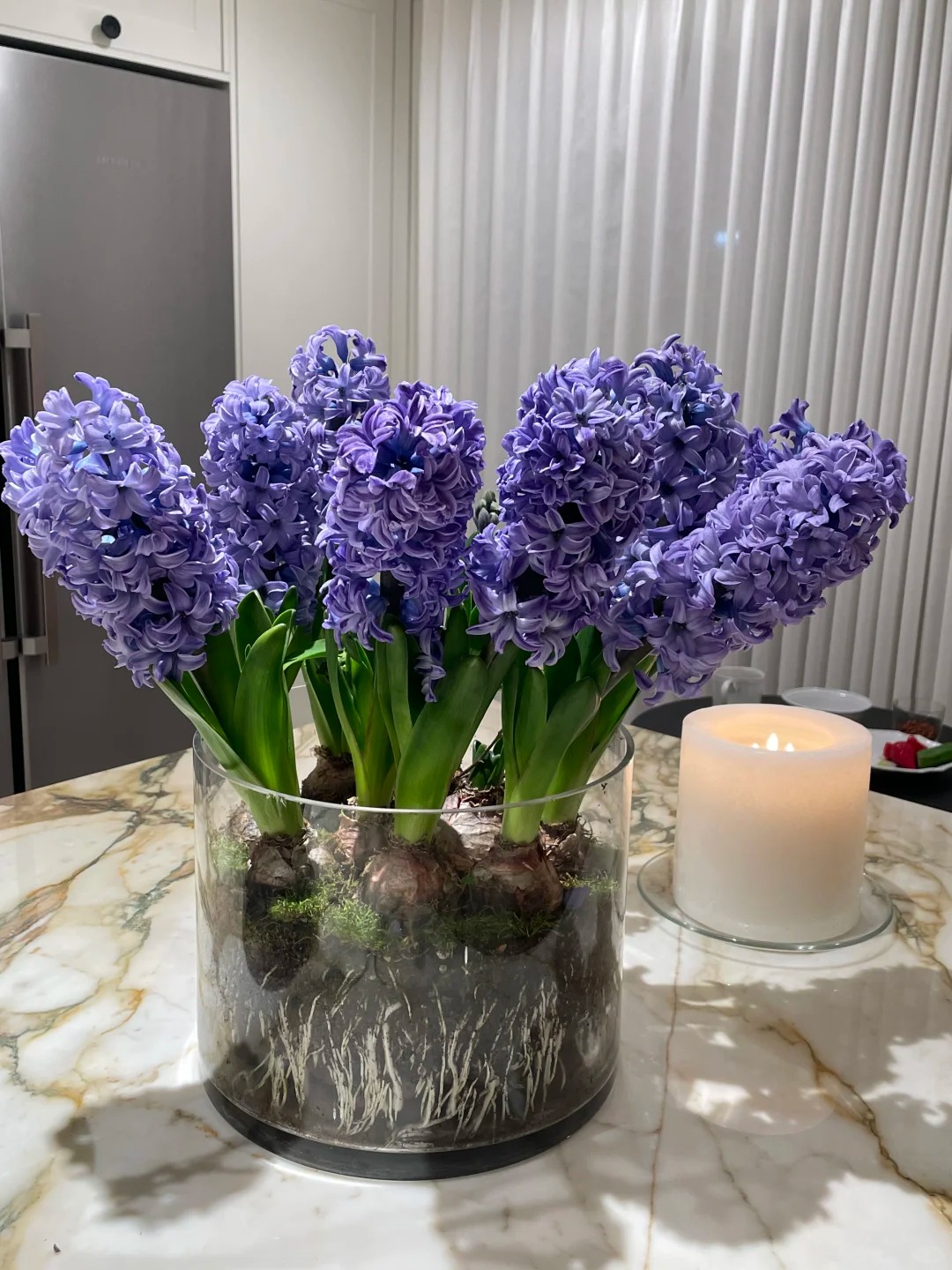 Nhiều chị em đang kháo nhau: Tết này nhất định phải trồng một chậu “hoa của các vị thần”, vừa thơm nhà vừa sang chảnh- Ảnh 6. Nhiều chị em đang kháo nhau: Tết này nhất định phải trồng một chậu “hoa của các vị thần”, vừa thơm nhà vừa sang chảnh- Ảnh 6.