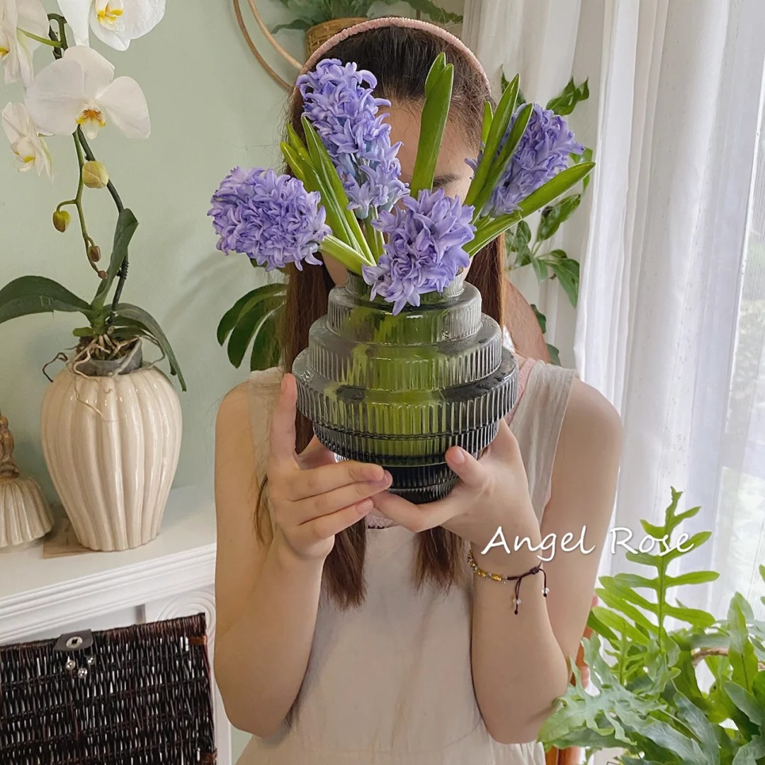 Nhiều chị em đang kháo nhau: Tết này nhất định phải trồng một chậu “hoa của các vị thần”, vừa thơm nhà vừa sang chảnh- Ảnh 2. Nhiều chị em đang kháo nhau: Tết này nhất định phải trồng một chậu “hoa của các vị thần”, vừa thơm nhà vừa sang chảnh- Ảnh 2.