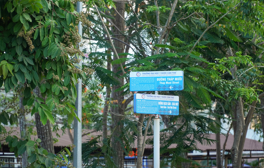 Ngôi trường ở miền Tây có cổng trường mang tên 9 nhánh sông Cửu Long, cả khuôn viên như “bảo tàng sống”- Ảnh 4. Ngôi trường ở miền Tây có cổng trường mang tên 9 nhánh sông Cửu Long, cả khuôn viên như “bảo tàng sống”- Ảnh 4.