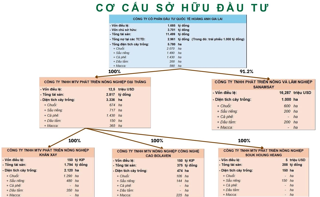 Bầu Đức IPO công ty con tại Lào: Cam kết dốc 50% lợi nhuận chia cổ tức tiền mặt trong 3 năm, không ‘chia giấy’- Ảnh 4.