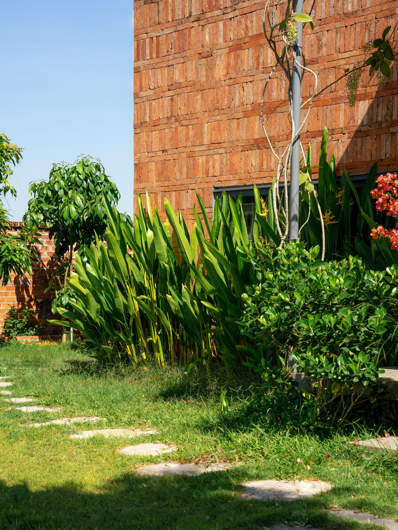 Nhà mái dốc 160m2 giữa cánh đồng lúa đẹp như tranh vẽ- Ảnh 6.