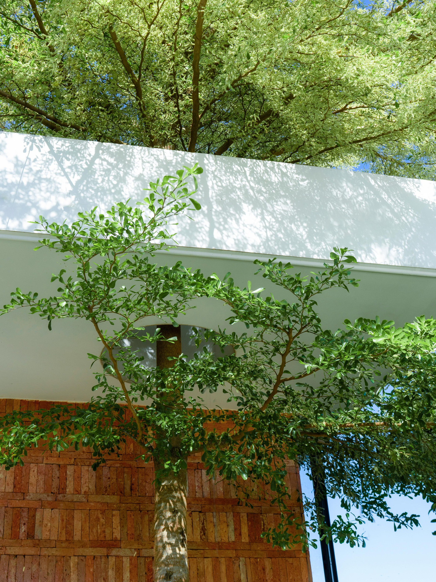 Nhà mái dốc 160m2 giữa cánh đồng lúa đẹp như tranh vẽ- Ảnh 10.