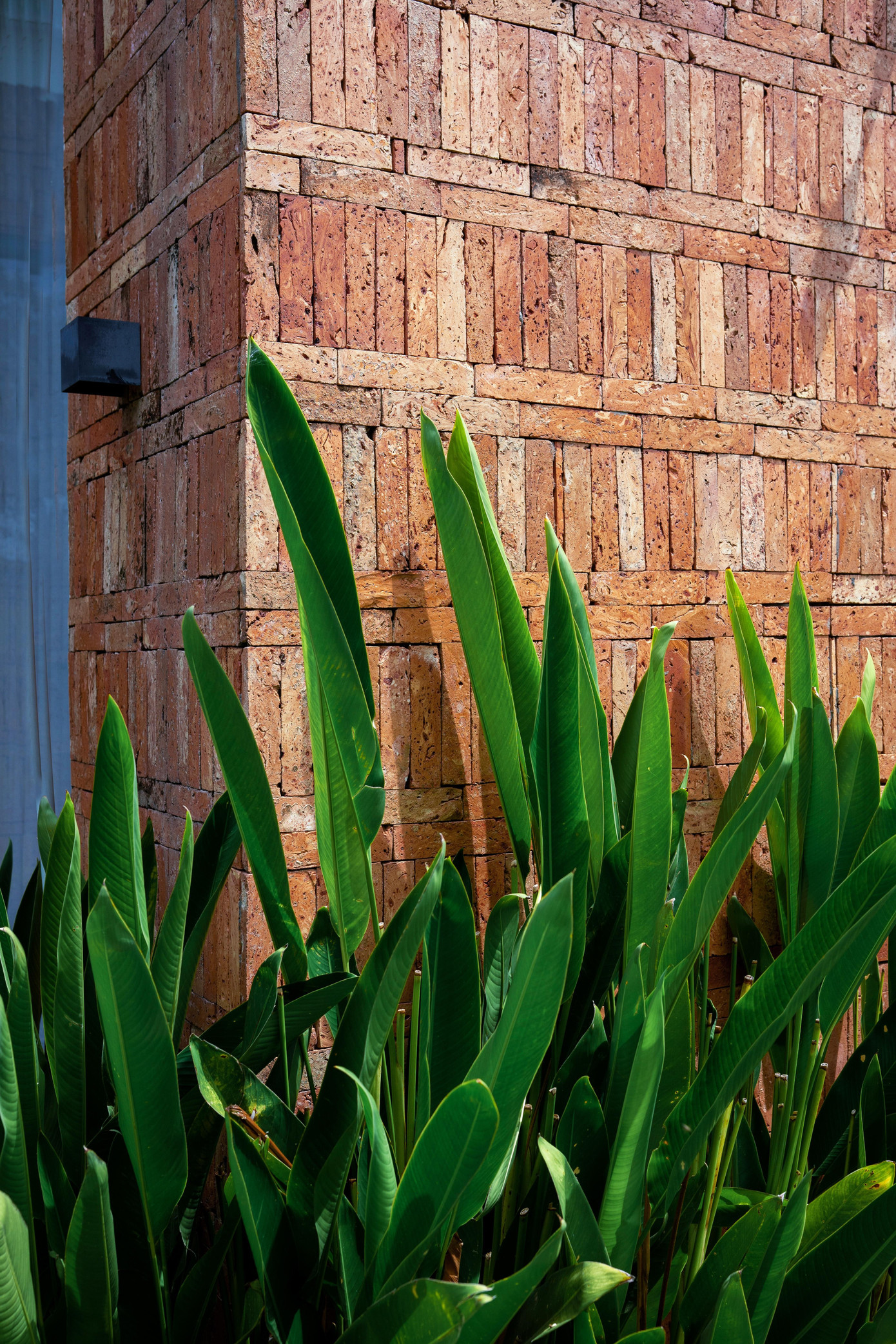 Nhà mái dốc 160m2 giữa cánh đồng lúa đẹp như tranh vẽ- Ảnh 11.