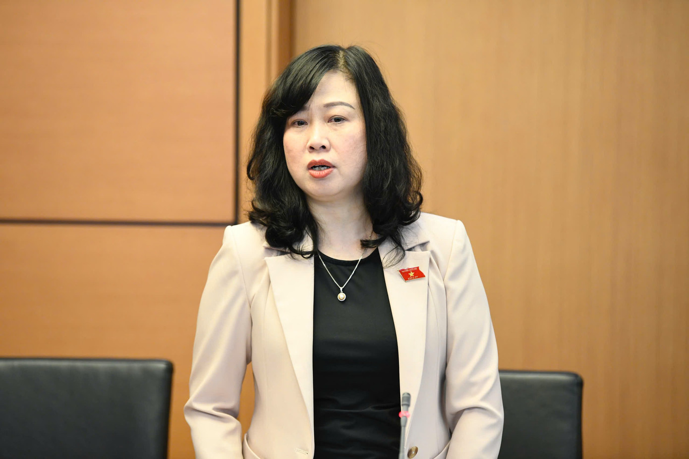 Sẽ có những giải pháp để hỗ trợ các cặp vợ chồng sinh đủ hai con- Ảnh 1.