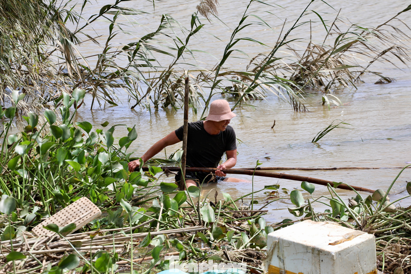 Tan hoang thủ phủ rau Lâm Đồng- Ảnh 31.