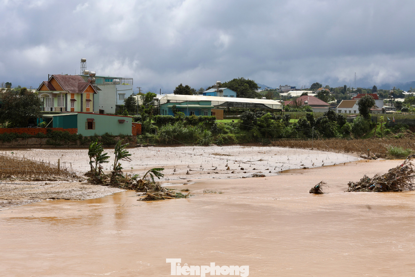 Tan hoang thủ phủ rau Lâm Đồng- Ảnh 3. Tan hoang thủ phủ rau Lâm Đồng- Ảnh 3.
