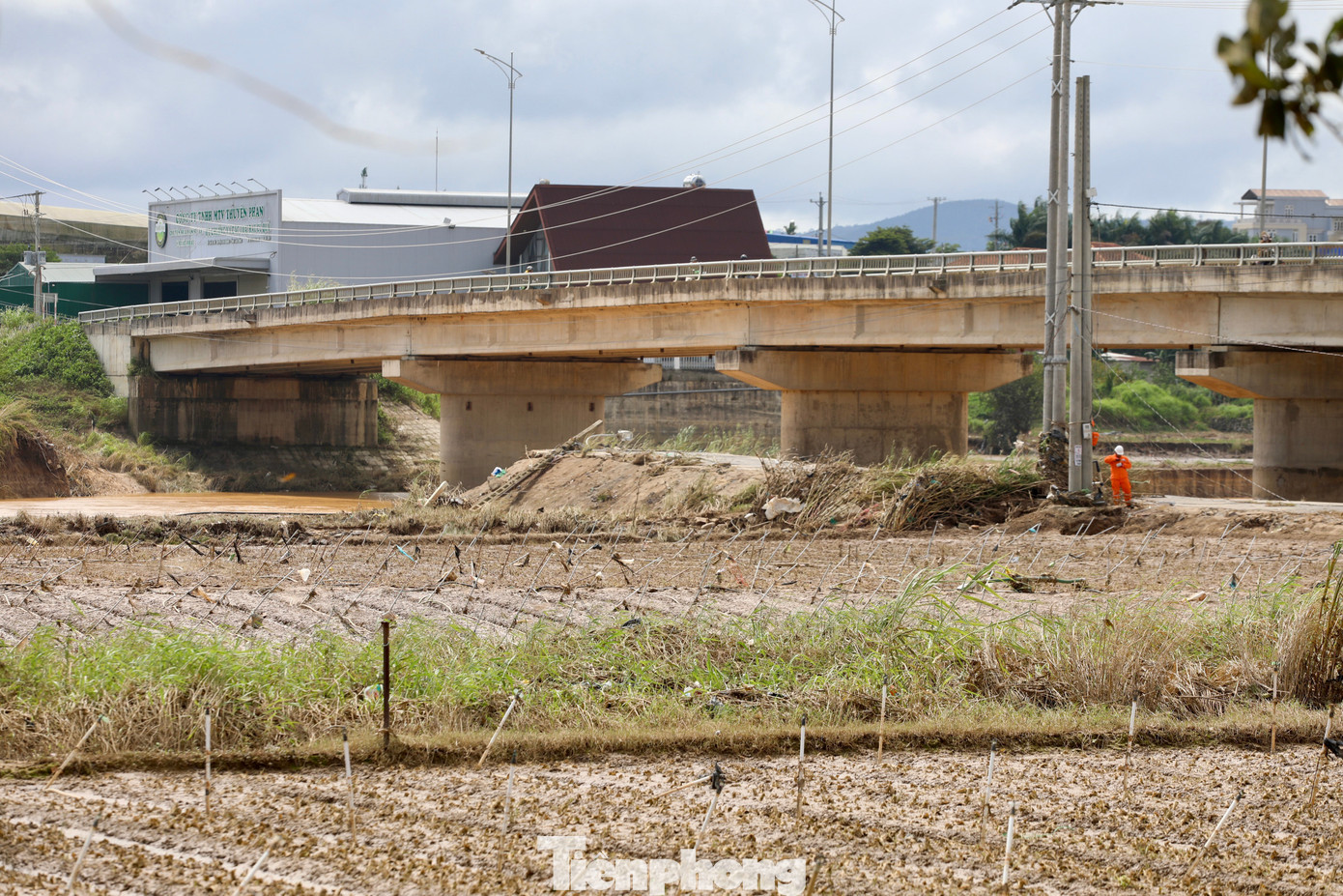 Tan hoang thủ phủ rau Lâm Đồng- Ảnh 4. Tan hoang thủ phủ rau Lâm Đồng- Ảnh 4.