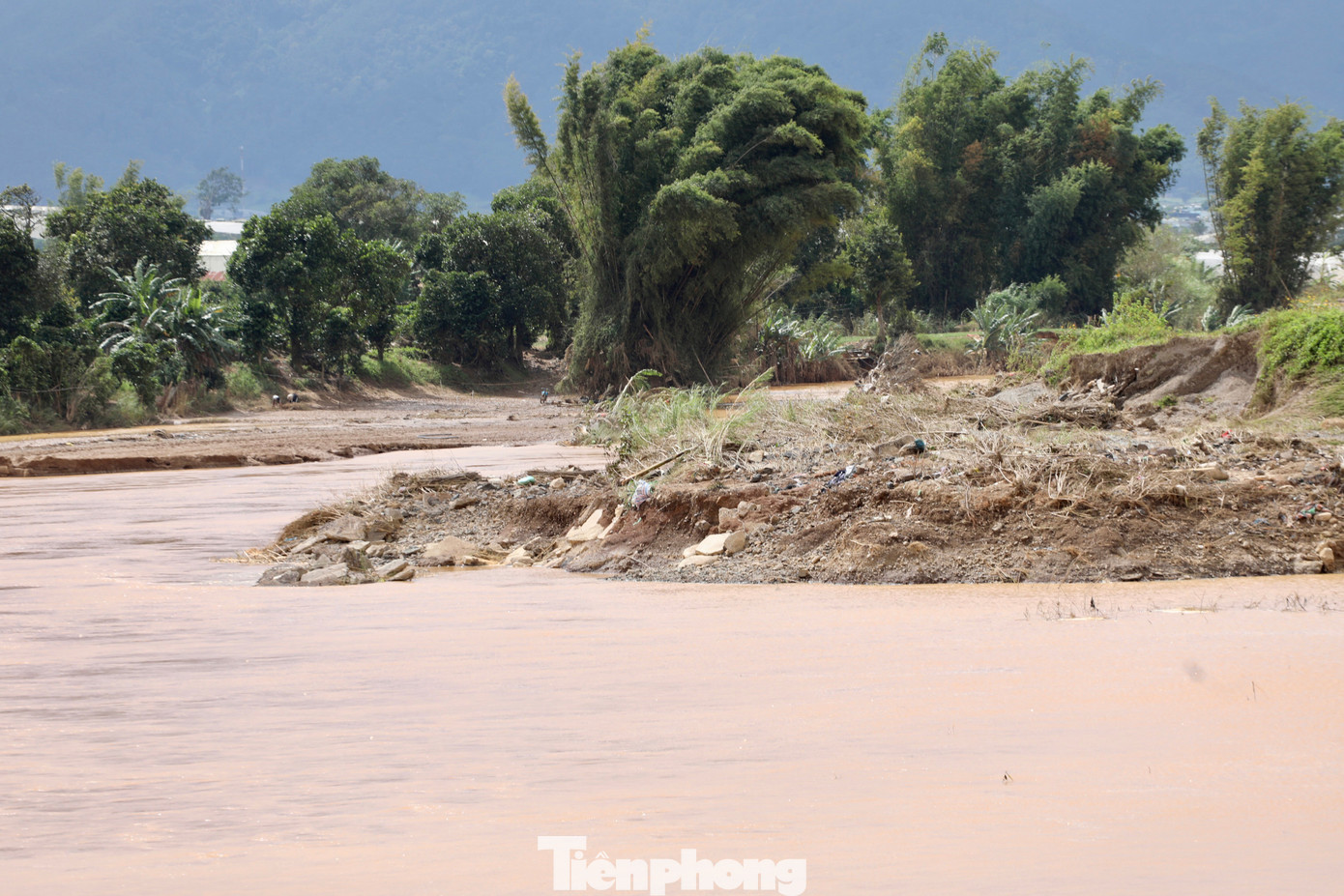 Tan hoang thủ phủ rau Lâm Đồng- Ảnh 2. Tan hoang thủ phủ rau Lâm Đồng- Ảnh 2.