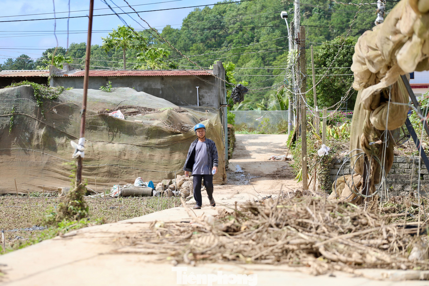 Tan hoang thủ phủ rau Lâm Đồng- Ảnh 10. Tan hoang thủ phủ rau Lâm Đồng- Ảnh 10.