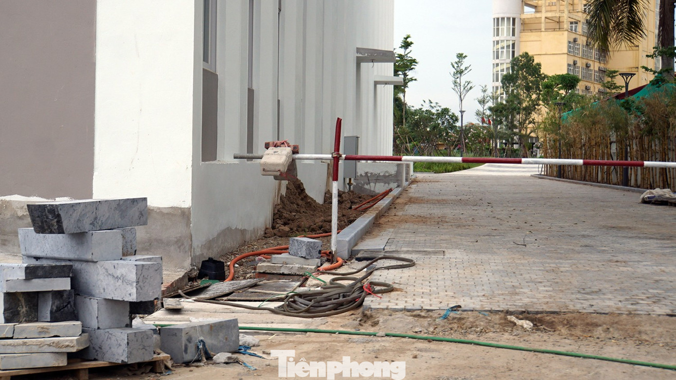 Hải Phòng thu hồi hơn 2,5ha đất vàng thuộc dự án khách sạn quốc tế Đồ Sơn- Ảnh 4.