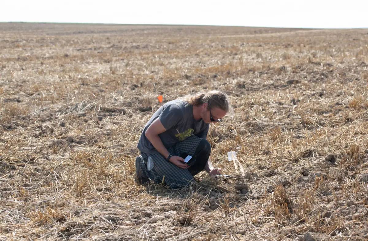Kho báu vô giá được tìm thấy tại địa điểm bí mật của châu Âu- Ảnh 3. Kho báu vô giá được tìm thấy tại địa điểm bí mật của châu Âu- Ảnh 3.