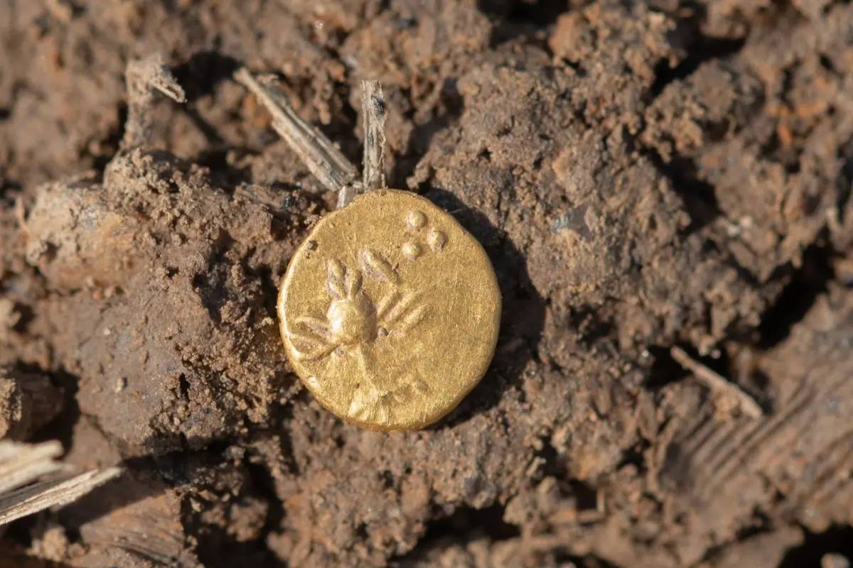 Kho báu vô giá được tìm thấy tại địa điểm bí mật của châu Âu- Ảnh 1. Kho báu vô giá được tìm thấy tại địa điểm bí mật của châu Âu- Ảnh 1.