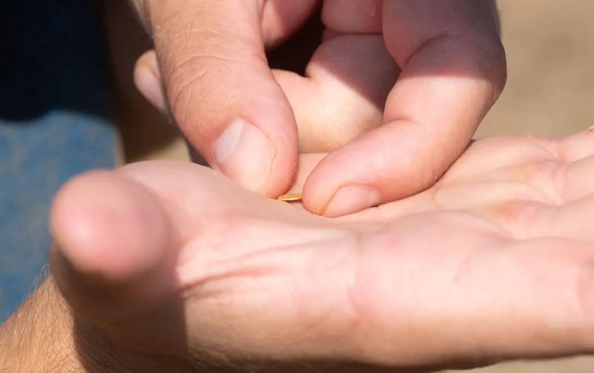 Kho báu vô giá được tìm thấy tại địa điểm bí mật của châu Âu- Ảnh 2. Kho báu vô giá được tìm thấy tại địa điểm bí mật của châu Âu- Ảnh 2.