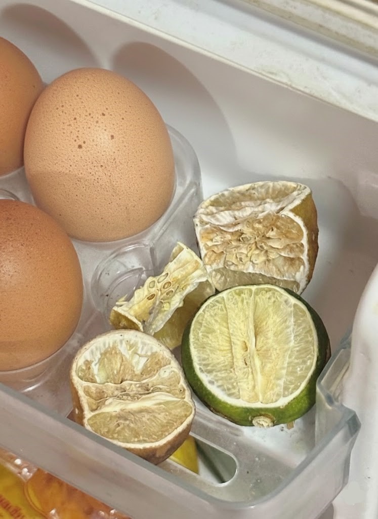 Trung bình cửa tủ lạnh của các gia đình Việt Nam đều có 1 thứ: Hóa ra có tác dụng bất ngờ- Ảnh 2.