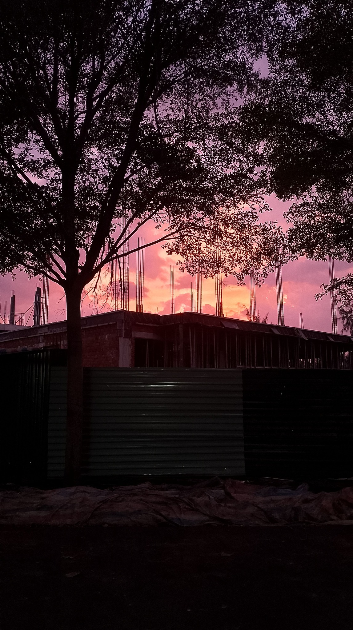 Xuất hiện bầu trời "tím lịm tìm sim" ở Khánh Hoà- Ảnh 7.