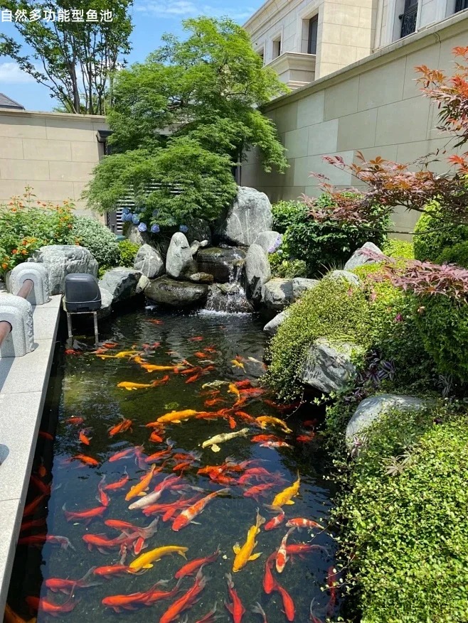 Trước nhà có ao phong thủy tốt hay xấu? Đọc xong bớt lo lấp ao vội- Ảnh 8.