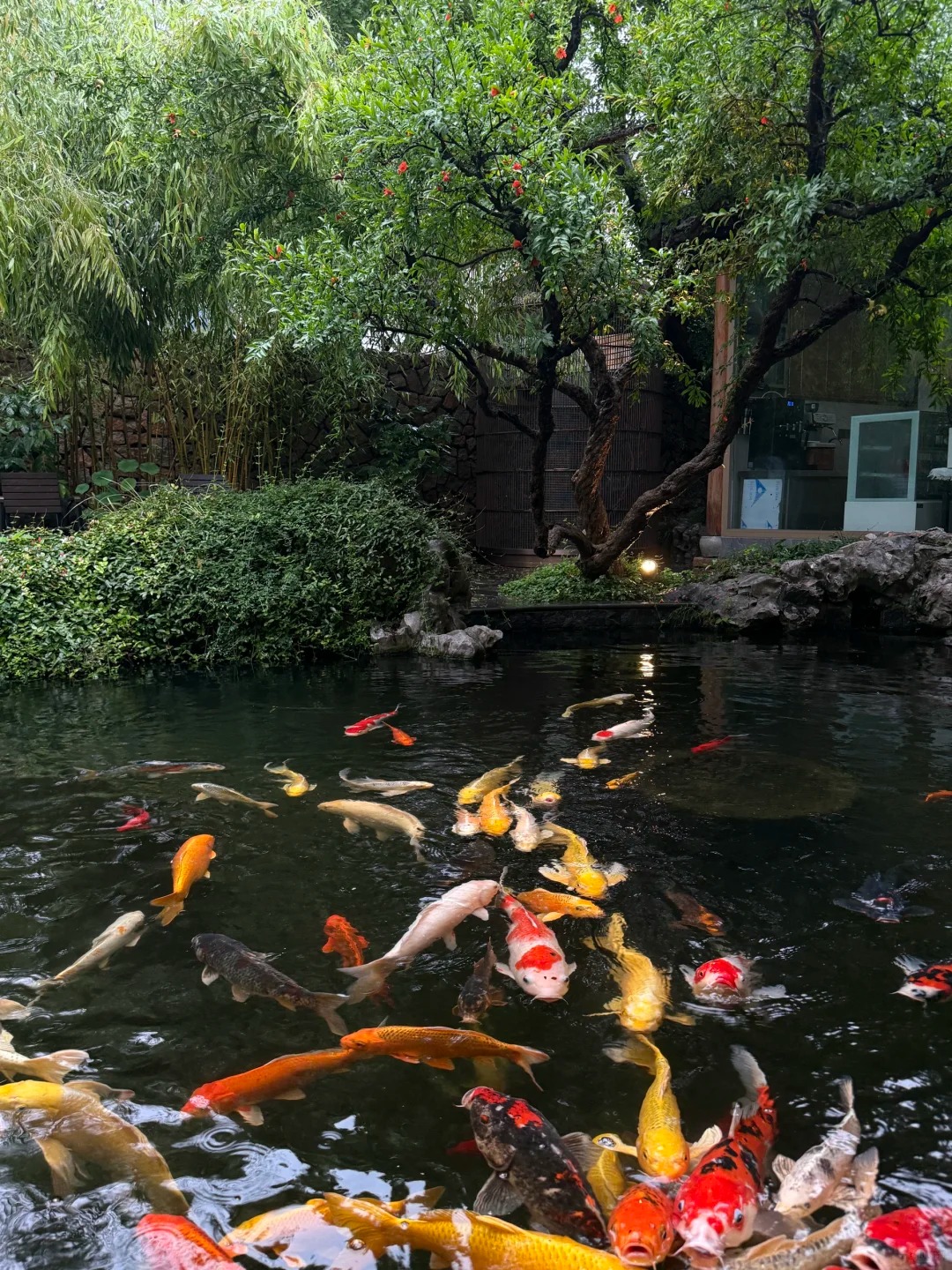 Trước nhà có ao phong thủy tốt hay xấu? Đọc xong bớt lo lấp ao vội- Ảnh 3.