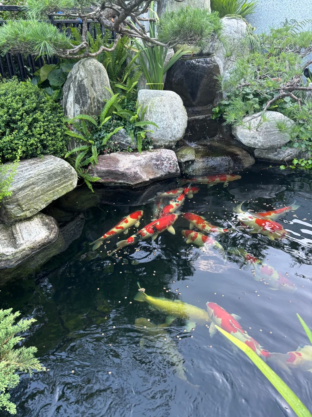 Trước nhà có ao phong thủy tốt hay xấu? Đọc xong bớt lo lấp ao vội- Ảnh 4.