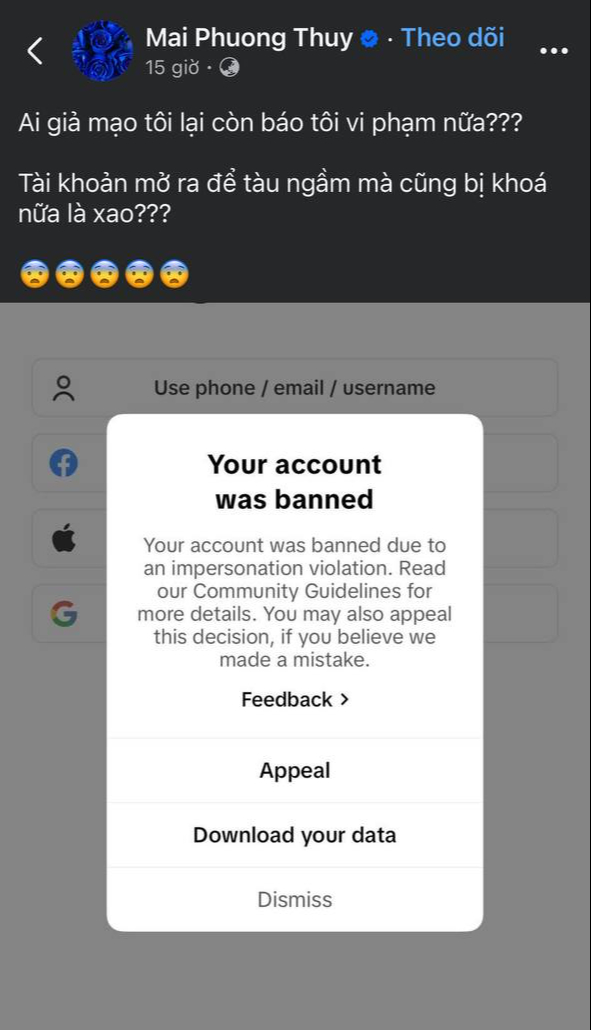 Mai Phương Thúy lên tiếng- Ảnh 1. Mai Phương Thúy lên tiếng- Ảnh 1.